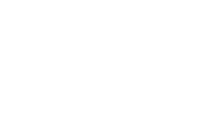 NY SPINS Casino
